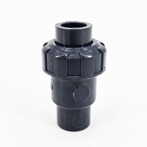 Check valve D15.jpg