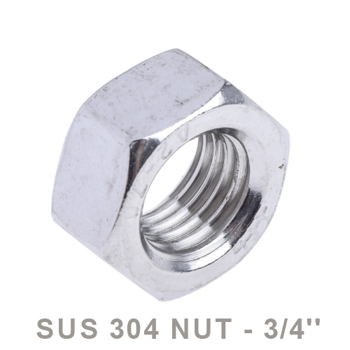 Nut_34.jpg