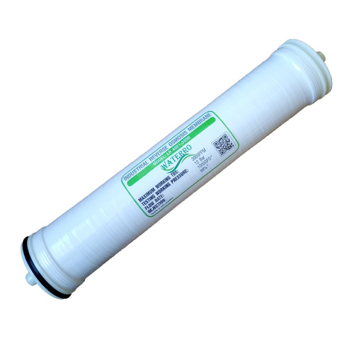Membrane 4021.jpg