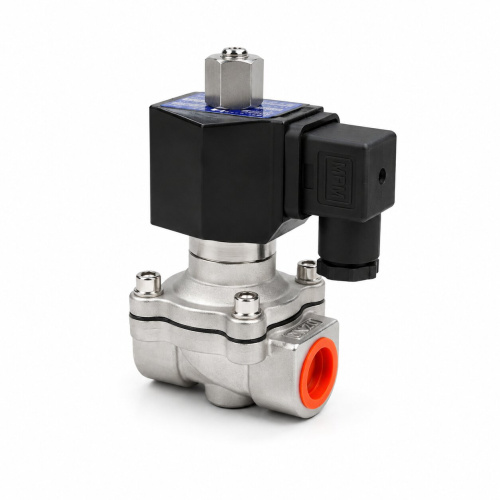 WATERRO Solenoid Valve 34″ – 220V AC – NO – SS304(1).jpg