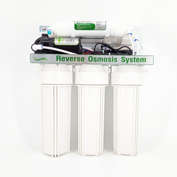 100G Optimum (2).jpg