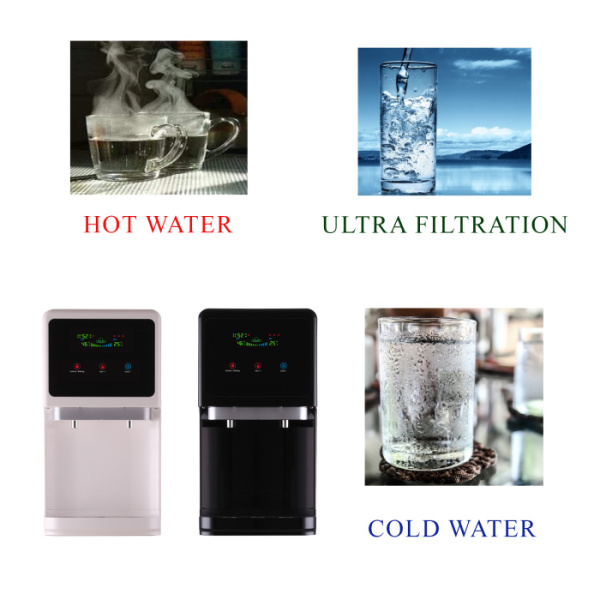 UF PEARL_advertising.jpg